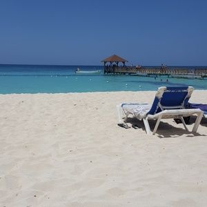 Meet your Posher, Shelly